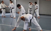 STAGE KARATE A SEREGNO - 8 MAGGIO 2016