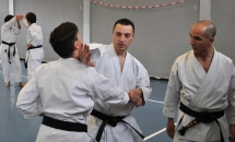 STAGE KARATE A SEREGNO - 8 MAGGIO 2016