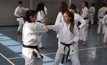 STAGE KARATE A SEREGNO - 8 MAGGIO 2016