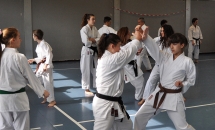 STAGE KARATE A SEREGNO - 8 MAGGIO 2016
