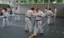 STAGE KARATE A SEREGNO - 8 MAGGIO 2016