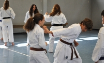 STAGE KARATE A SEREGNO - 8 MAGGIO 2016