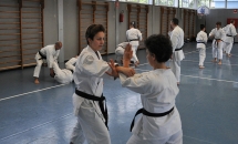 STAGE KARATE A SEREGNO - 8 MAGGIO 2016