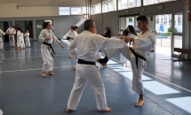 STAGE KARATE A SEREGNO - 8 MAGGIO 2016