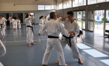 STAGE KARATE A SEREGNO - 8 MAGGIO 2016