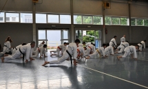 STAGE KARATE A SEREGNO - 8 MAGGIO 2016