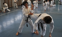 STAGE KARATE A SEREGNO - 8 MAGGIO 2016
