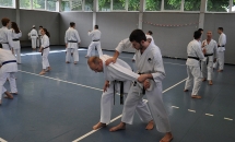 STAGE KARATE A SEREGNO - 8 MAGGIO 2016