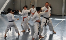 STAGE KARATE A SEREGNO - 8 MAGGIO 2016