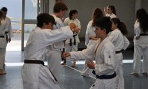 STAGE KARATE A SEREGNO - 8 MAGGIO 2016