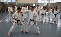 STAGE KARATE A SEREGNO - 8 MAGGIO 2016