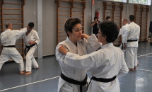 STAGE KARATE A SEREGNO - 8 MAGGIO 2016