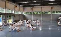 STAGE KARATE A SEREGNO - 8 MAGGIO 2016