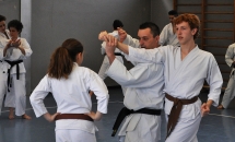 STAGE KARATE A SEREGNO - 8 MAGGIO 2016