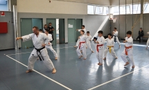 STAGE KARATE A SEREGNO - 8 MAGGIO 2016