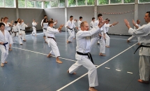 STAGE KARATE A SEREGNO - 8 MAGGIO 2016