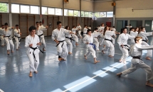 STAGE KARATE A SEREGNO - 8 MAGGIO 2016