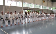 STAGE KARATE A SEREGNO - 8 MAGGIO 2016