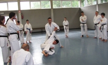 STAGE KARATE A SEREGNO - 8 MAGGIO 2016