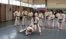 STAGE KARATE A SEREGNO - 8 MAGGIO 2016