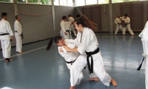 STAGE KARATE A SEREGNO - 8 MAGGIO 2016
