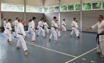 STAGE KARATE A SEREGNO - 8 MAGGIO 2016