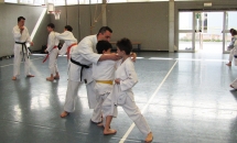 STAGE KARATE A SEREGNO - 8 MAGGIO 2016
