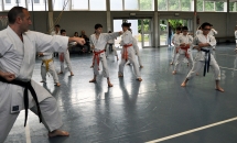 STAGE KARATE A SEREGNO - 8 MAGGIO 2016