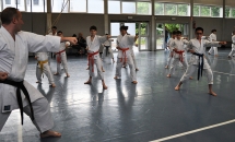 STAGE KARATE A SEREGNO - 8 MAGGIO 2016