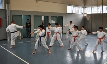 STAGE KARATE A SEREGNO - 8 MAGGIO 2016