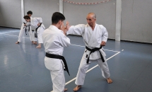 STAGE KARATE A SEREGNO - 8 MAGGIO 2016