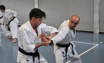 STAGE KARATE A SEREGNO - 8 MAGGIO 2016