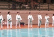 STAGE E ESAMI DI KARATE 7 GIUGNO 2015