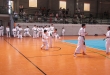 STAGE E ESAMI DI KARATE 7 GIUGNO 2015