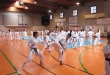 STAGE E ESAMI DI KARATE 7 GIUGNO 2015