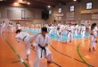 STAGE E ESAMI DI KARATE 7 GIUGNO 2015