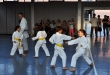 Esame di Karate - 9 Giugno, Seregno