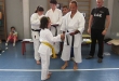 Esame di Karate - 9 Giugno, Seregno