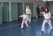 Esame di Karate Seregno 10 giugno 2013