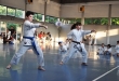 Esame di Karate Seregno 10 giugno 2013