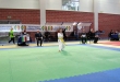 Gara Karate a Rogeno - 30 novembre 2014