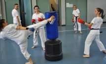karate-lezione-2016-seishindo (10)