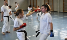 karate-lezione-2016-seishindo (11)