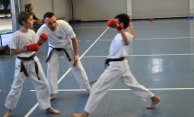 karate-lezione-2016-seishindo (14)