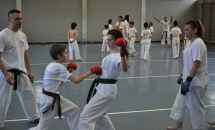 karate-lezione-2016-seishindo (15)