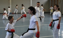 karate-lezione-2016-seishindo (16)