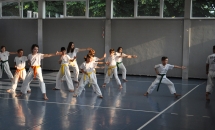karate-lezione-2016-seishindo (19)