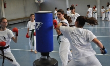 karate-lezione-2016-seishindo (2)