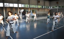 karate-lezione-2016-seishindo (20)