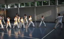 karate-lezione-2016-seishindo (24)